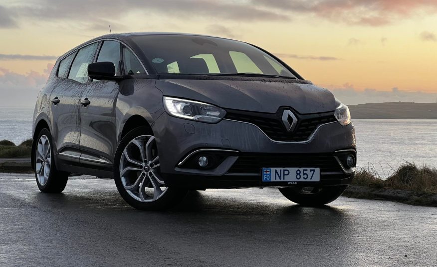 2019 Renault Gr. Scenic