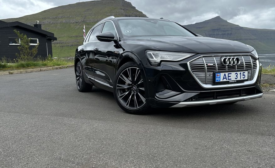 2020 Audi E-Tron 55