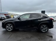 2021 Lexus UX300E