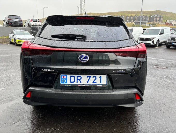 2021 Lexus UX300E