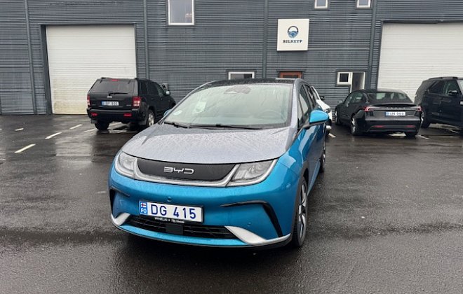 2024 BYD Dolphin Design