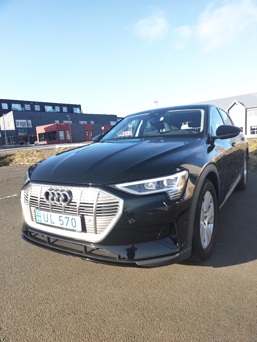 2021 Audi Etron 50