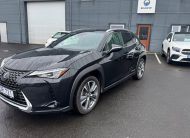 2021 Lexus UX300E