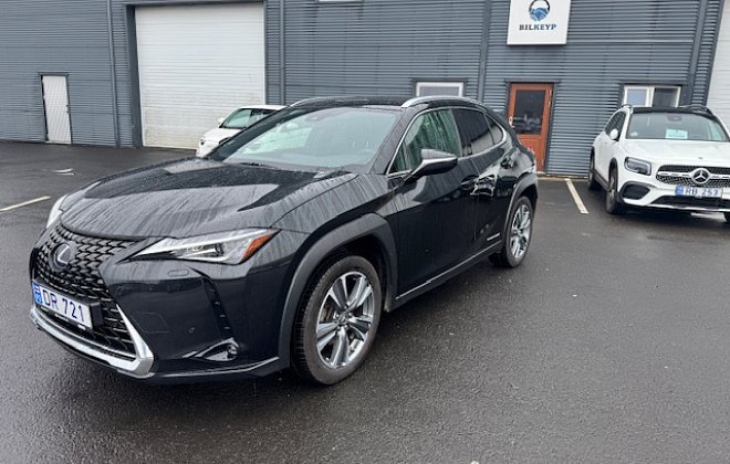 2021 Lexus UX300E